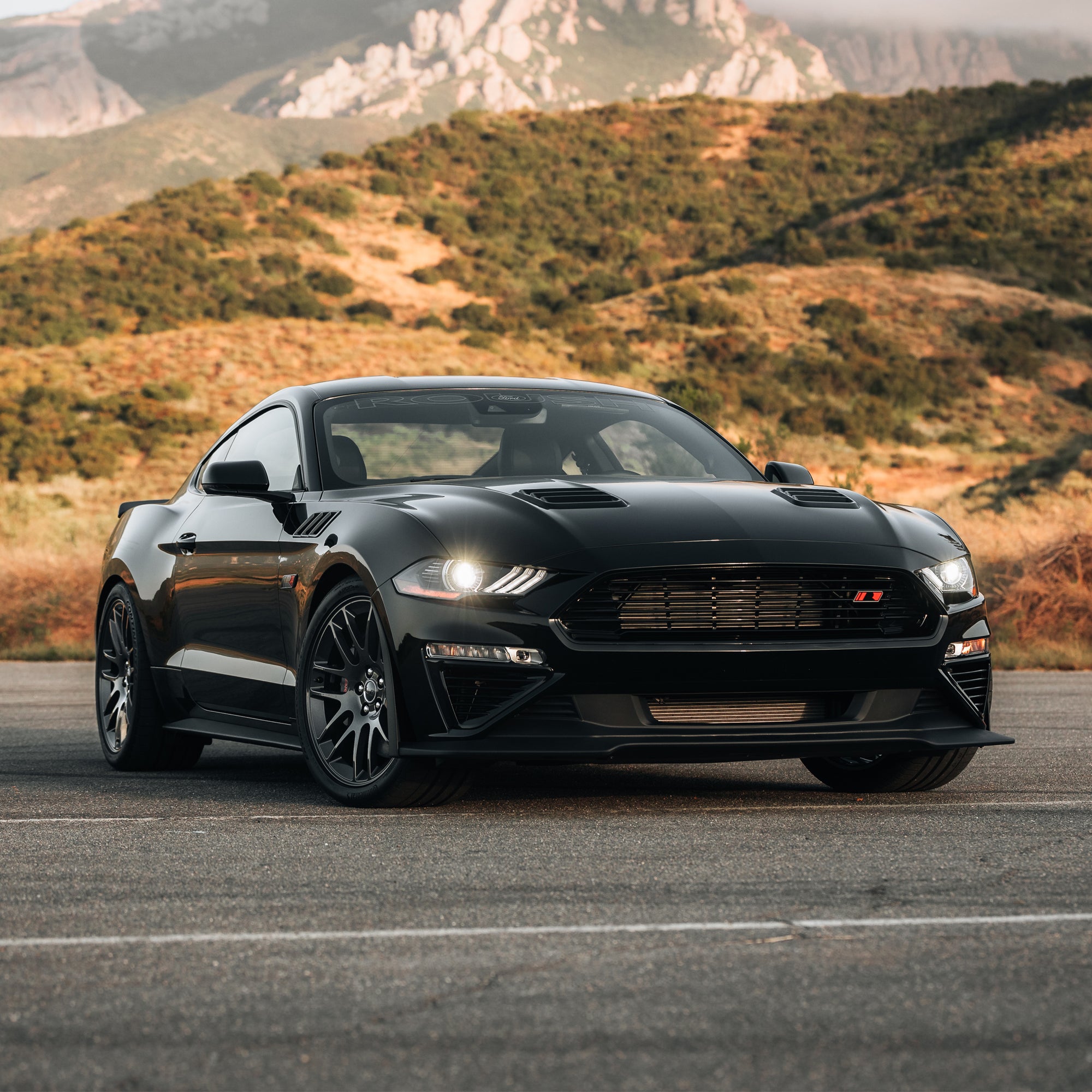 <p>Mustang<br/>Parts</p>